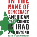 In the name of democracy book cover